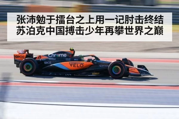 张沛勉于擂台之上用一记肘击终结苏泊克中国搏击少年再攀世界之巅